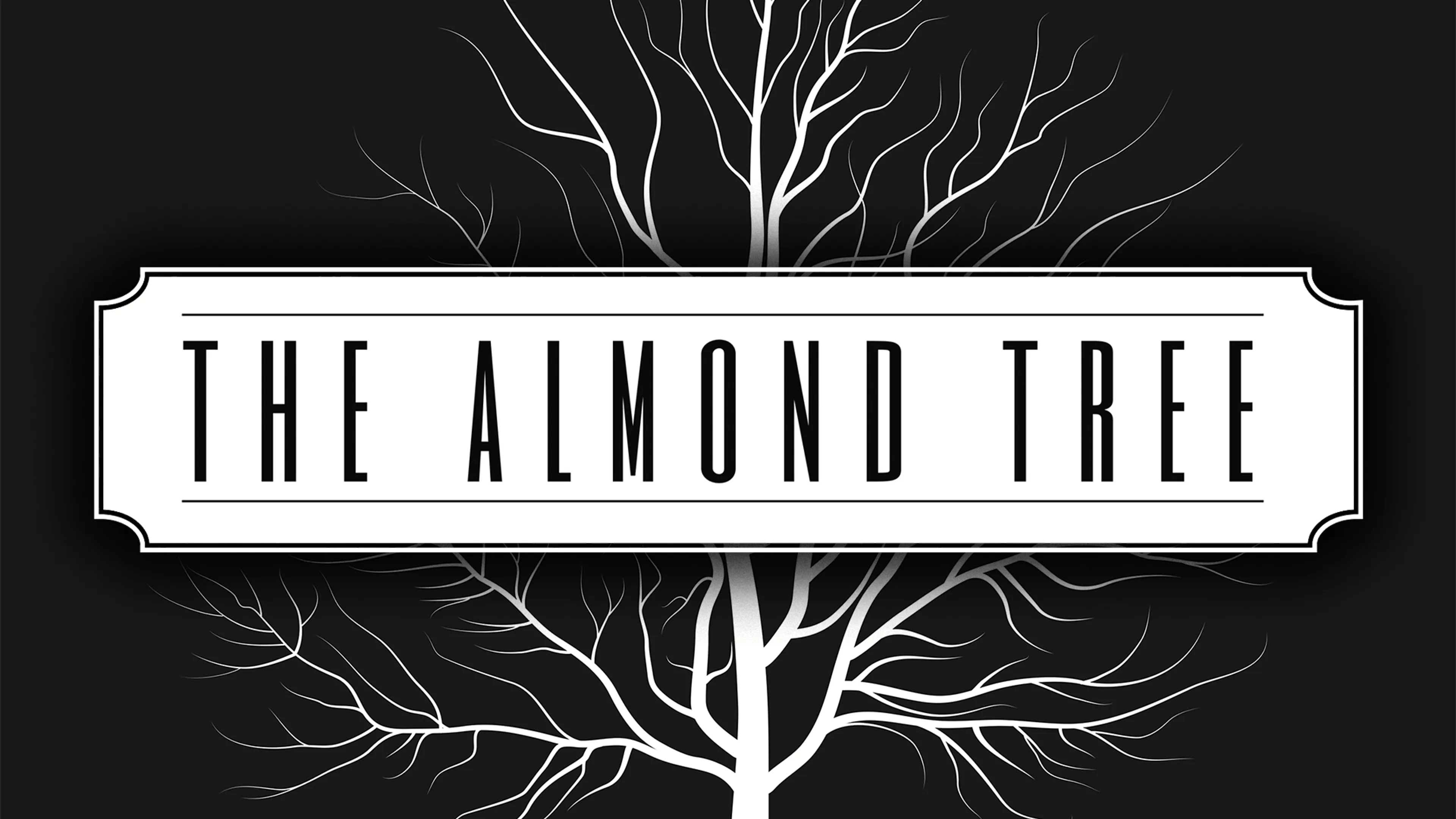 The Almond Tree poster